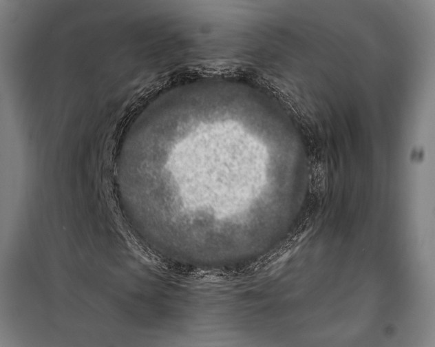 X0000099540913200806061451