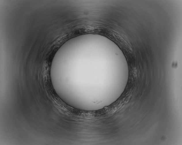 X0000099540914200806061451