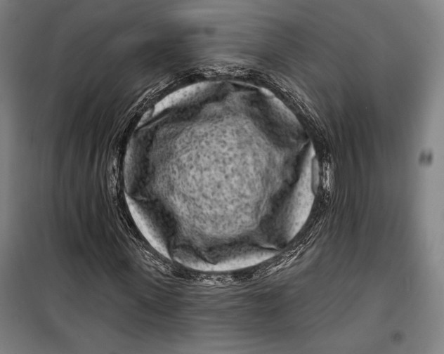 X0000099540915200806061451