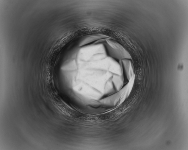 X0000099540916200806061451