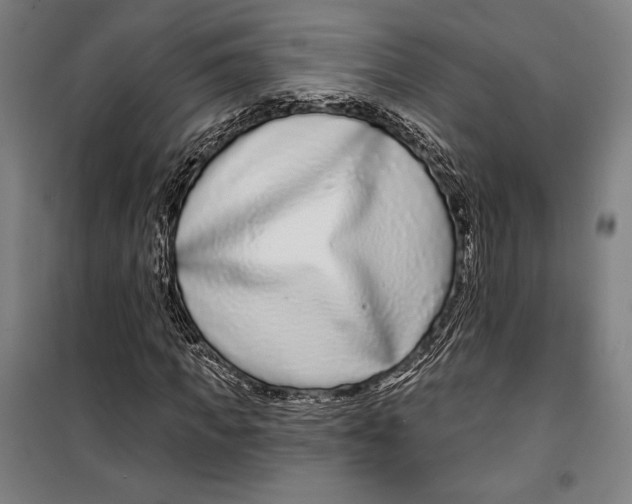 X0000099540917200806061451