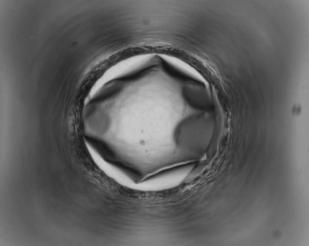 X0000099540920200806061451