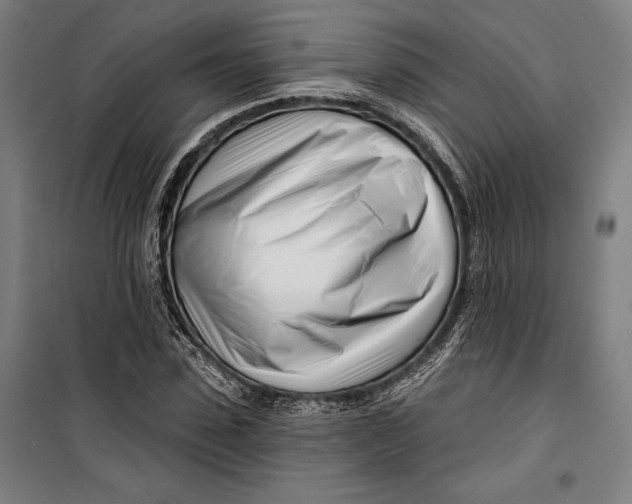 X0000099540923200806061451