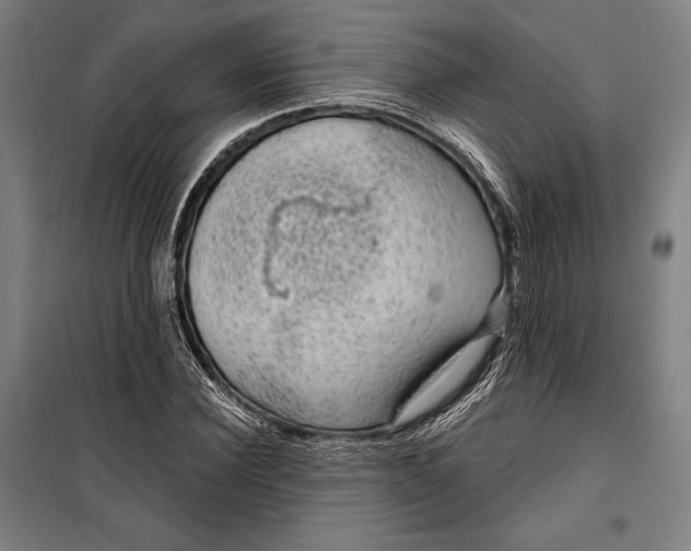 X0000099540924200806061451