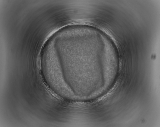 X0000099540925200806061451