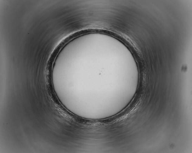 X0000099540926200806061451