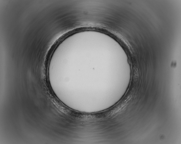 X0000099540927200806061451