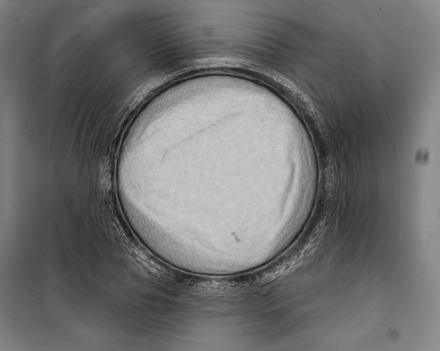 X0000099540929200806061451