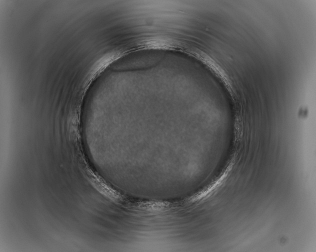 X0000099540930200806061451