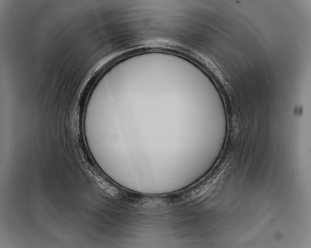 X0000099540931200806061451