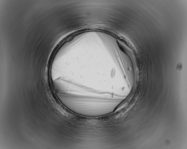 X0000099540932200806061451