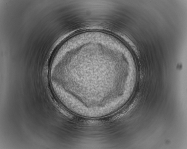 X0000099540933200806061451