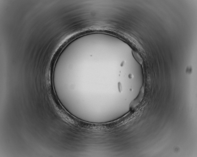 X0000099540934200806061451