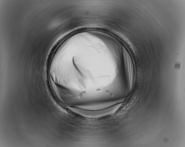 X0000099540935200806061451