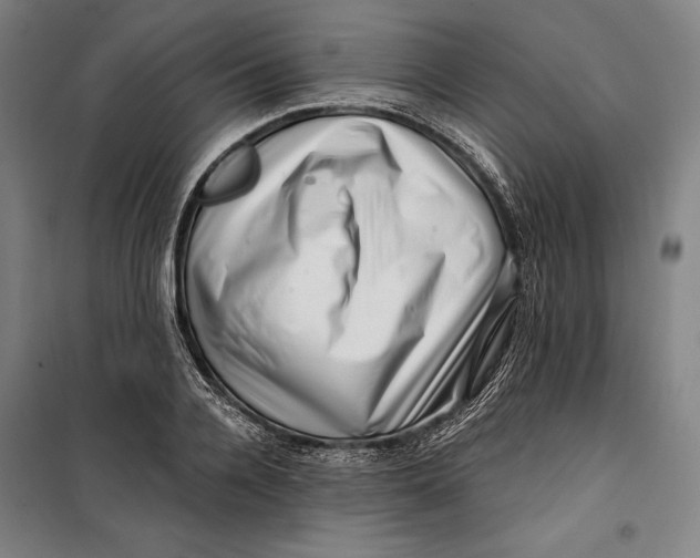 X0000099540936200806061451