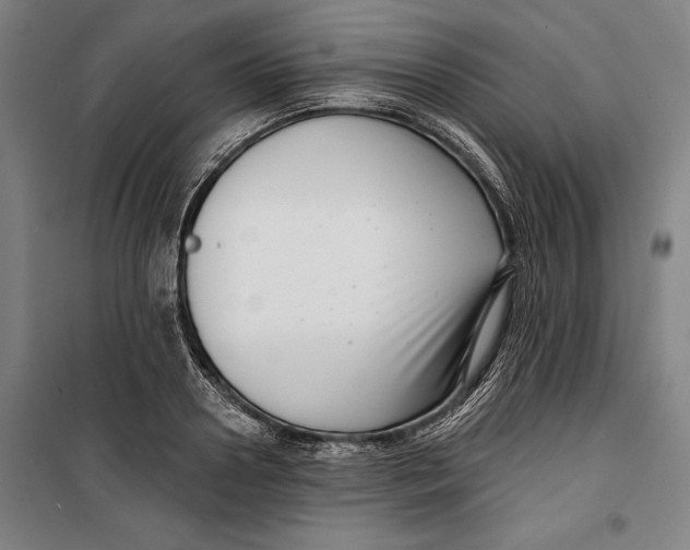 X0000099540938200806061451