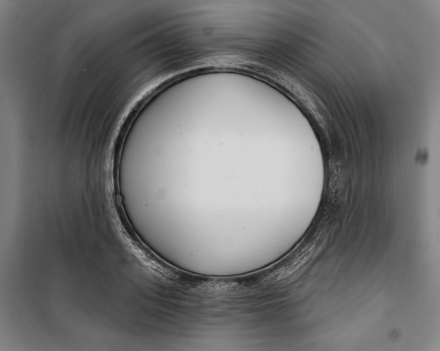 X0000099540939200806061451