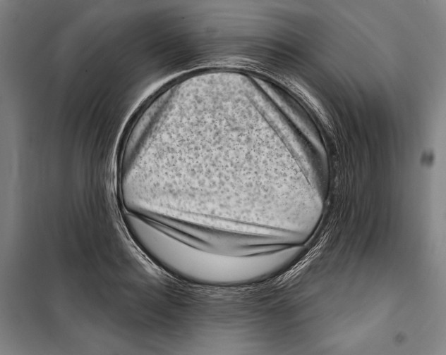 X0000099540940200806061451