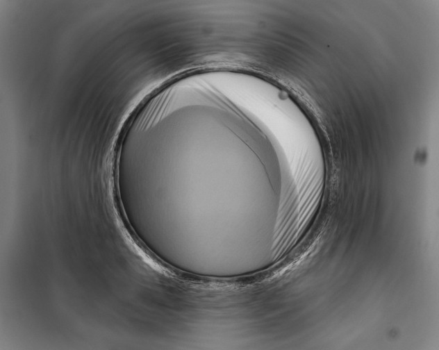 X0000099540941200806061451