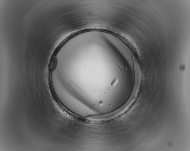 X0000099540942200806061451