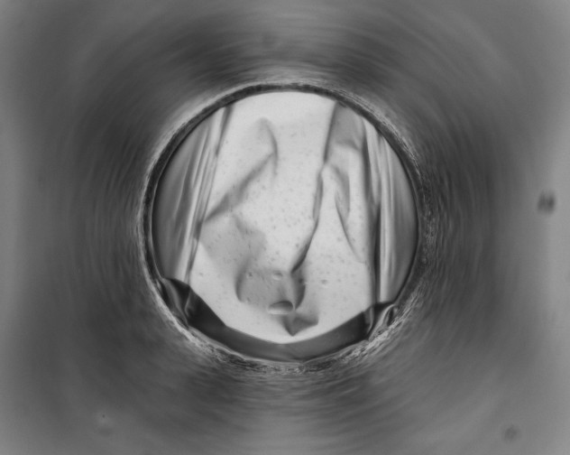 X0000099540943200806061451