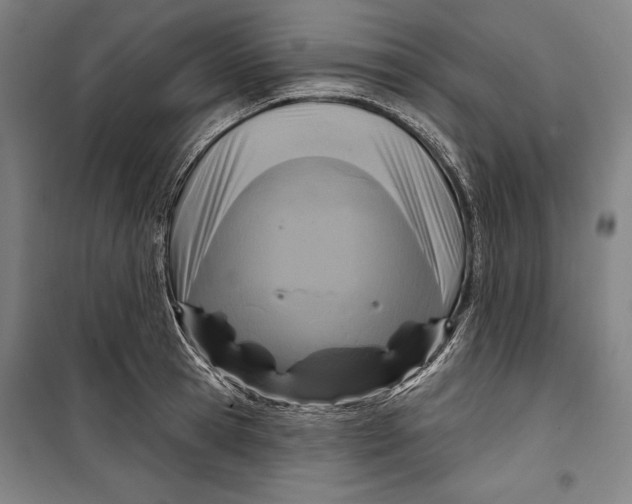 X0000099540945200806061451