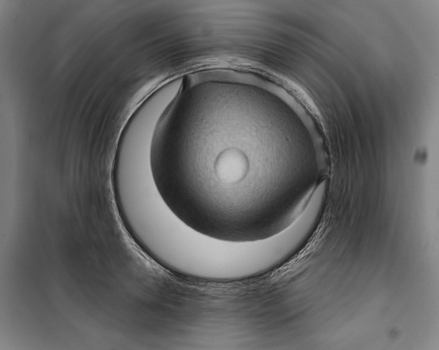 X0000099540946200806061451