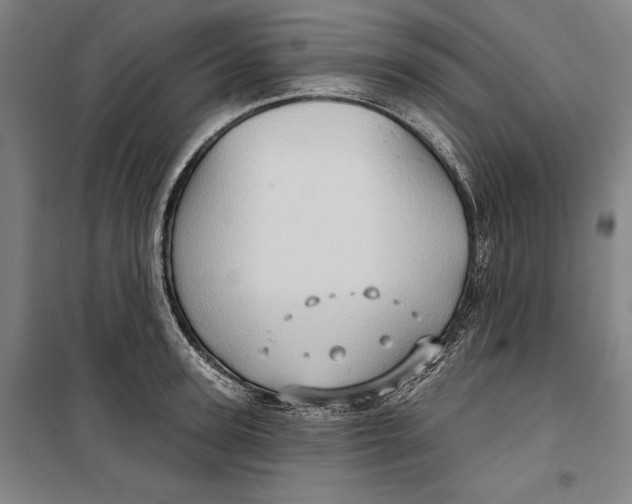 X0000099540947200806061451