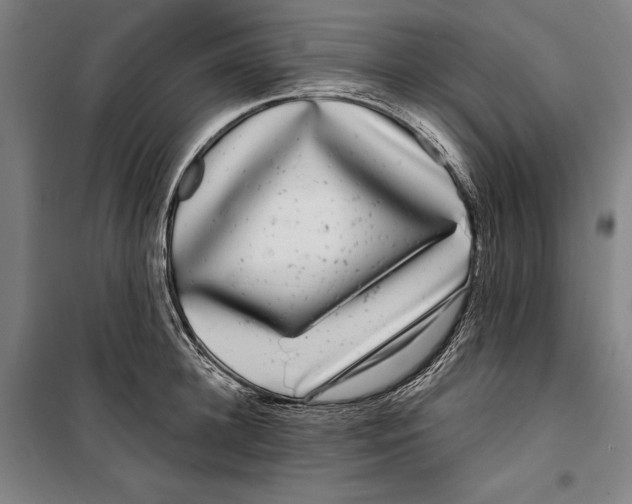 X0000099540948200806061451