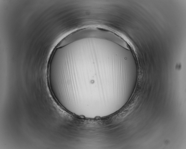 X0000099540951200806061451