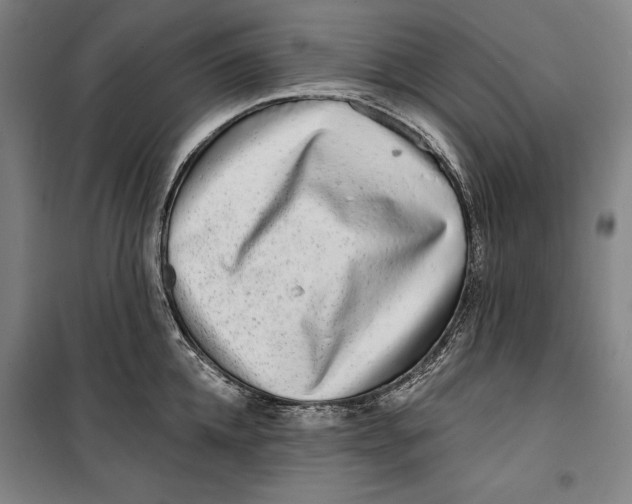 X0000099540952200806061451