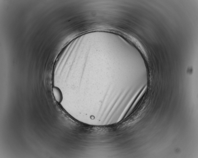 X0000099540954200806061451