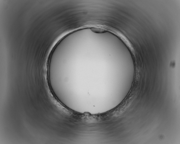 X0000099540955200806061451