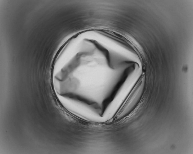 X0000099540956200806061451