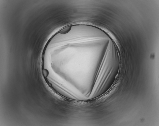 X0000099540957200806061451