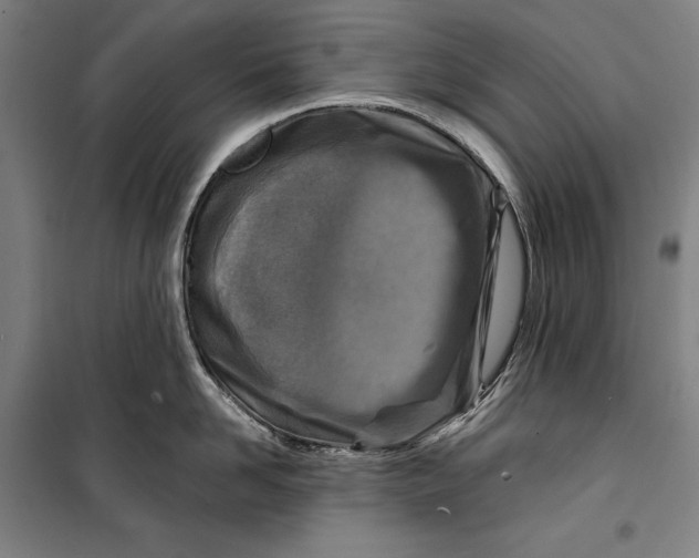 X0000099540958200806061451