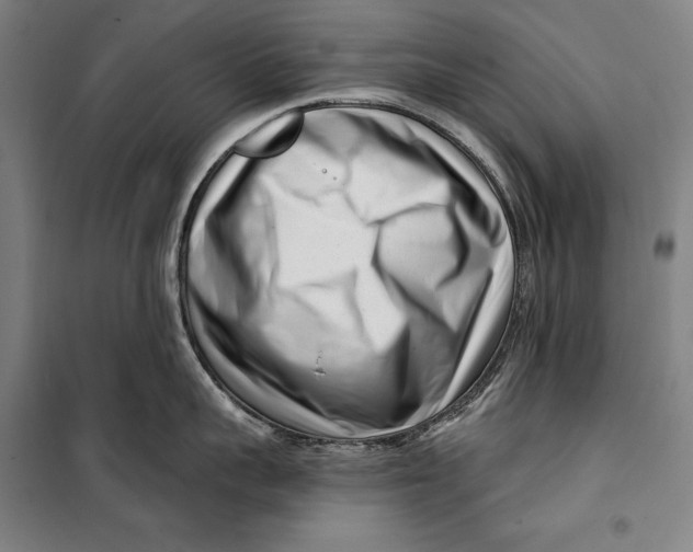 X0000099540959200806061451