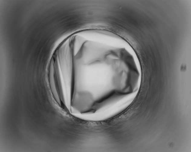 X0000099540960200806061451