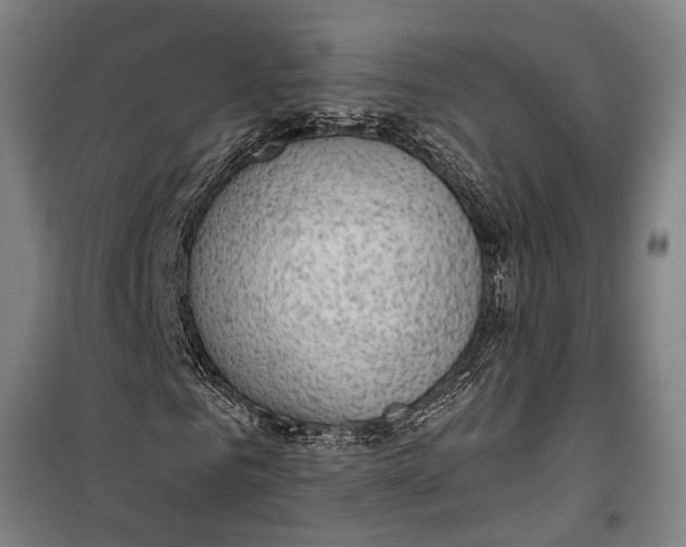 X0000099540961200806061451