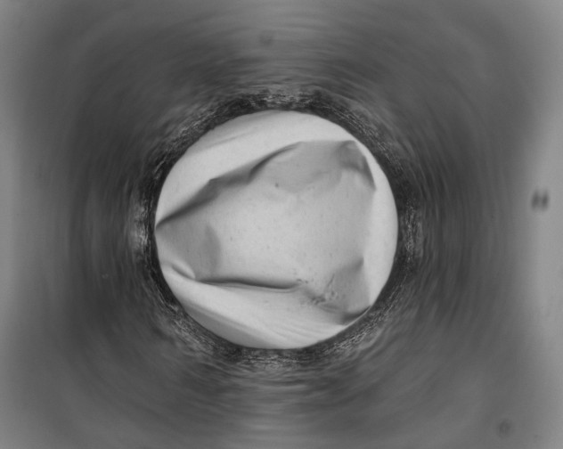 X0000099540962200806061451