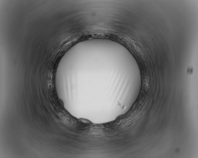 X0000099540964200806061451