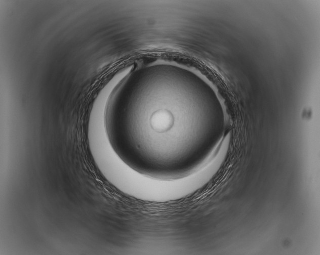 X0000099540965200806061451