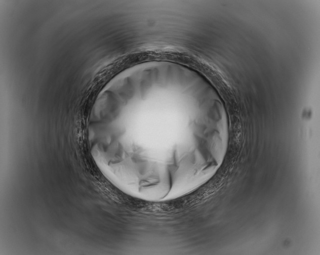 X0000099540966200806061451