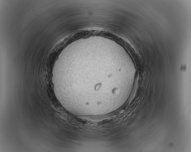 X0000099540967200806061451