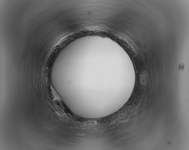 X0000099540968200806061451