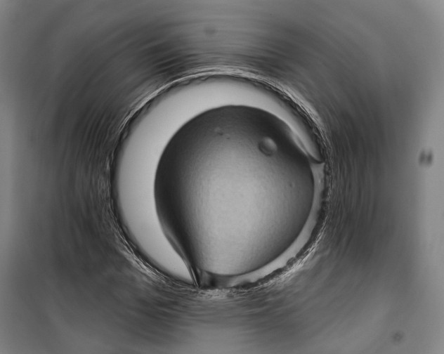 X0000099540969200806061451