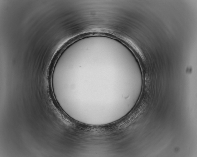 X0000099540972200806061451