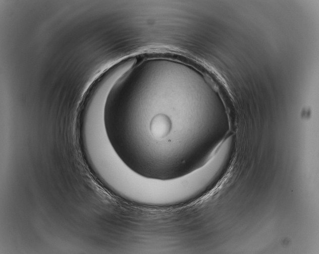 X0000099540973200806061451