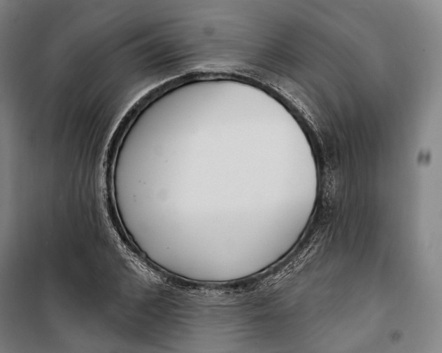 X0000099540976200806061451