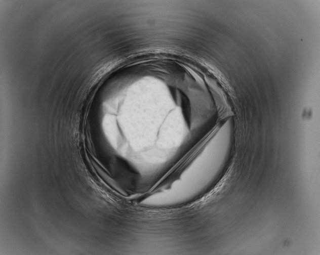 X0000099540977200806061451